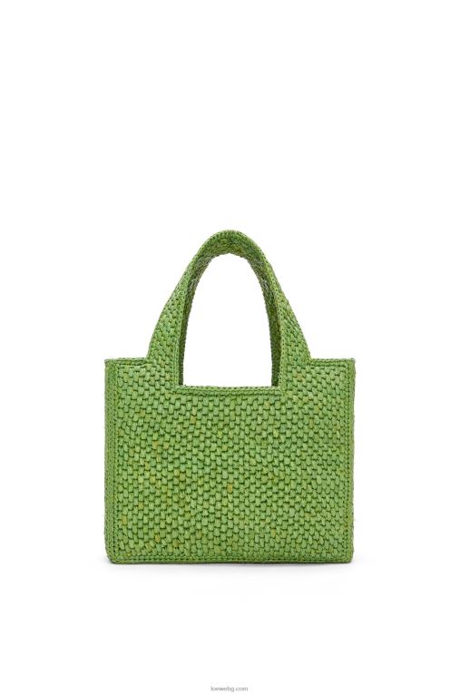 Loewe чантичка с малък шрифт в рафия F84B8108 Жени зелено
