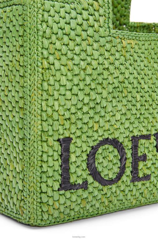 Loewe чантичка с малък шрифт в рафия F84B8108 Жени зелено