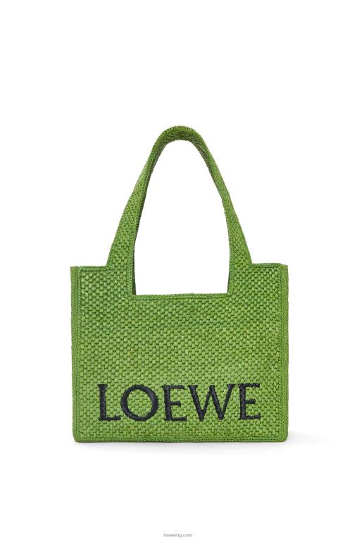 Loewe чантичка със среден шрифт в рафия F84B832 Жени зелено