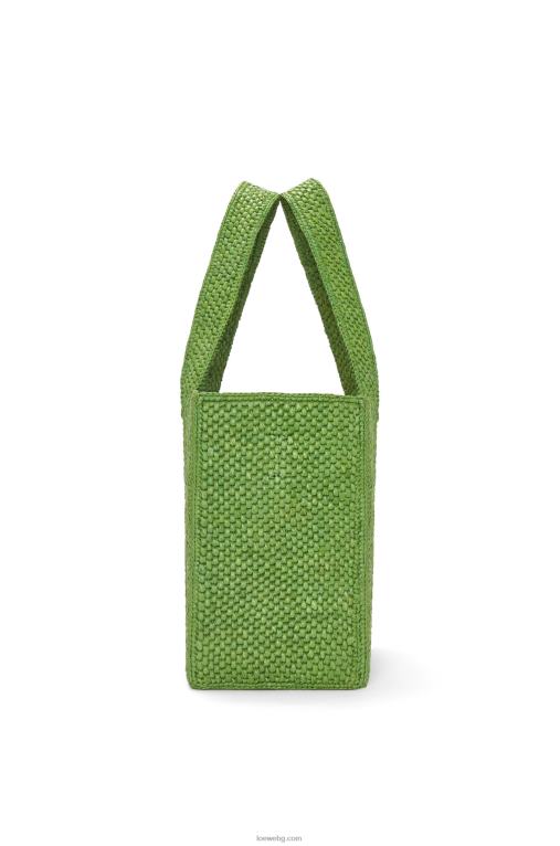 Loewe чантичка със среден шрифт в рафия F84B832 Жени зелено