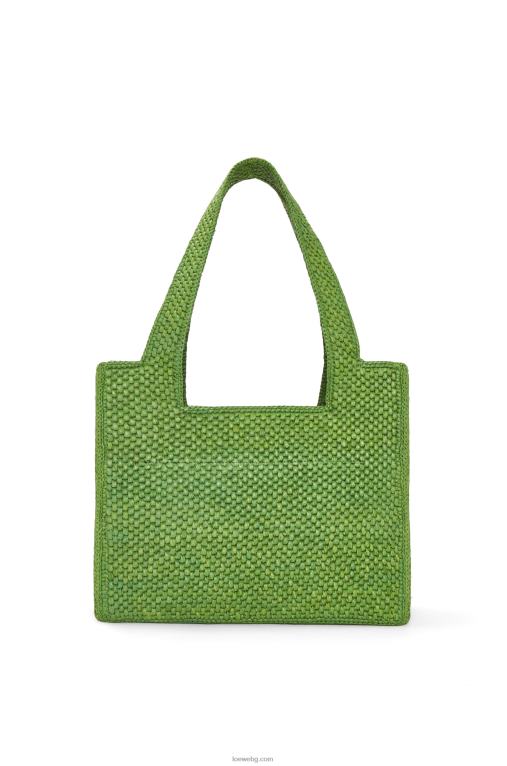 Loewe чантичка със среден шрифт в рафия F84B832 Жени зелено