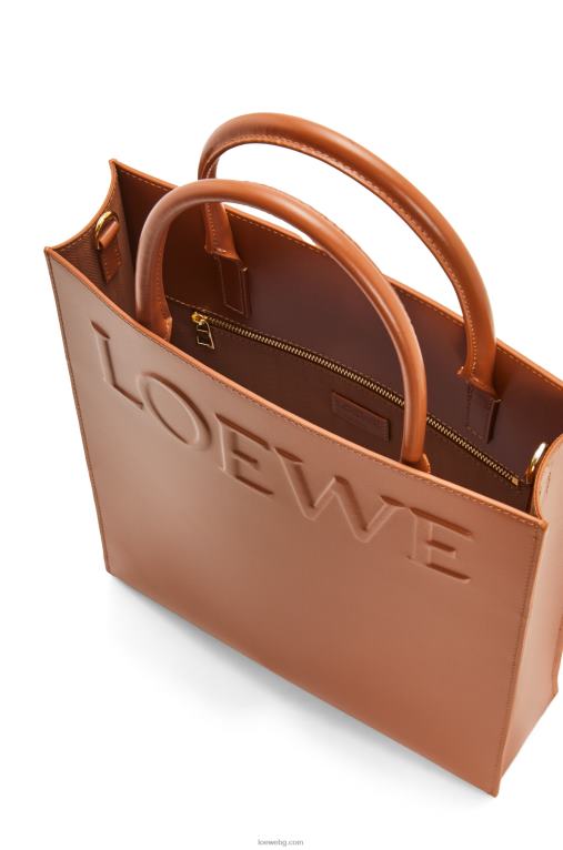 Loewe стандартна чантичка a4 от елегантна телешка кожа F84B8115 Жени тен