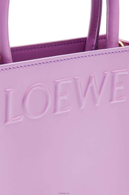 Loewe стандартна чантичка a5 от елегантна телешка кожа F84B8190 Жени guimauve