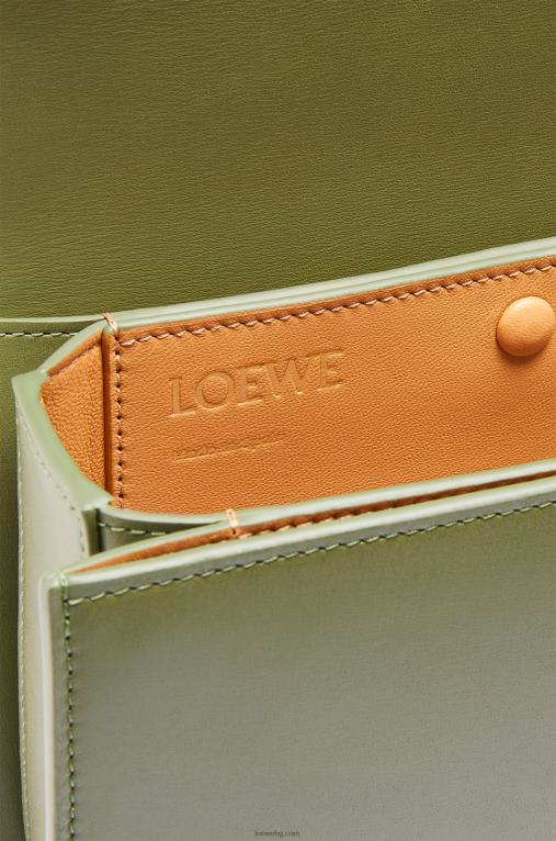 Loewe малка чанта goya от копринена телешка кожа F84B8307 Жени авокадо зелено