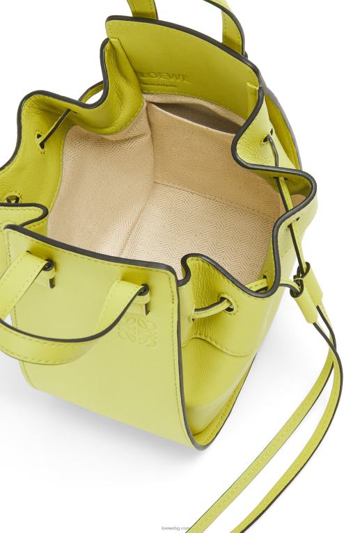 Loewe шнур за мини хамак от класическа телешка кожа F84B8297 Жени лайм жълто