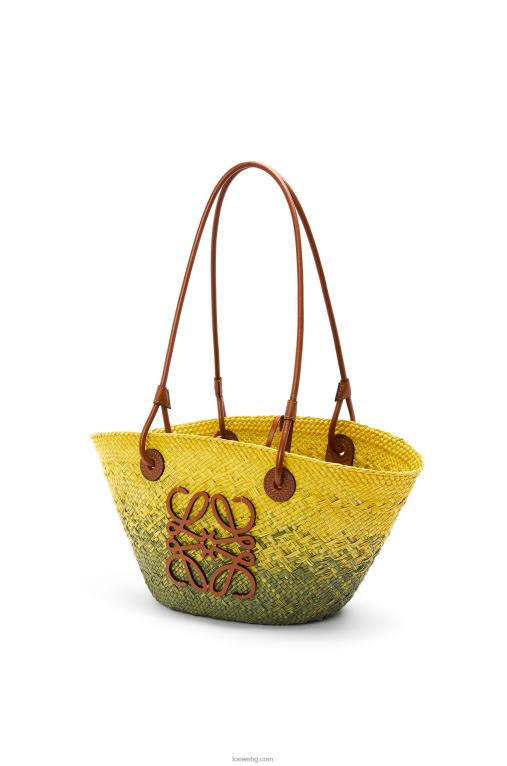 Loewe малка чанта кошница с анаграми от палма Ирака и телешка кожа F84B864 Жени каки зелено/жълто