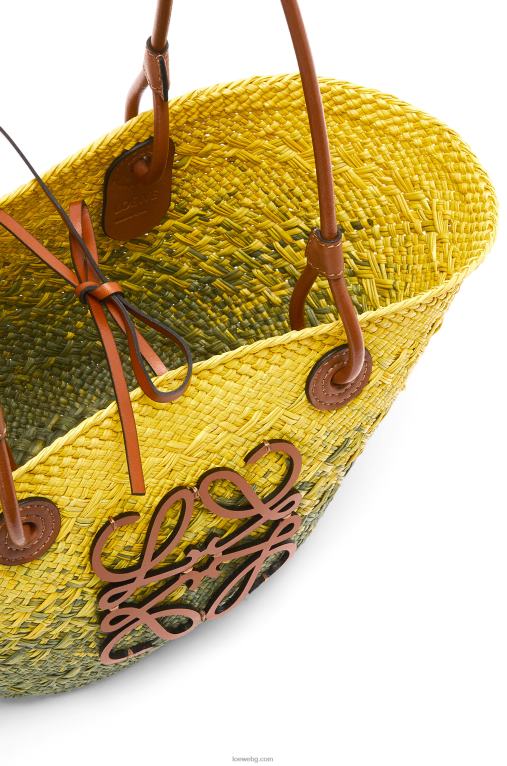 Loewe малка чанта кошница с анаграми от палма Ирака и телешка кожа F84B864 Жени каки зелено/жълто