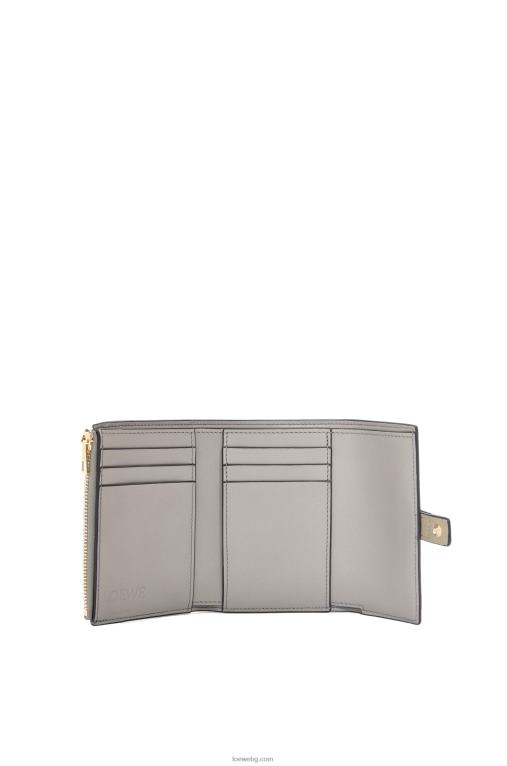 Loewe малък вертикален портфейл от мека зърнеста телешка кожа F84B81210 Жени салвие зелено/тъмно каки зелено