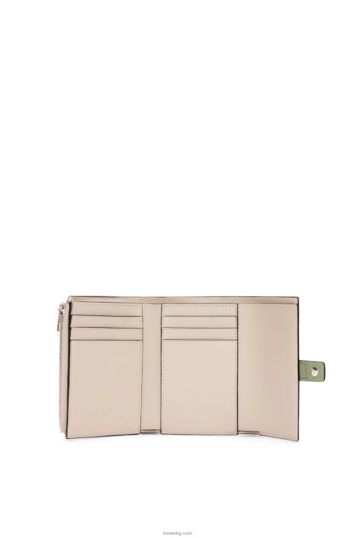 Loewe малък вертикален портфейл от мека зърнеста телешка кожа F84B81225 Жени розмарин/тен
