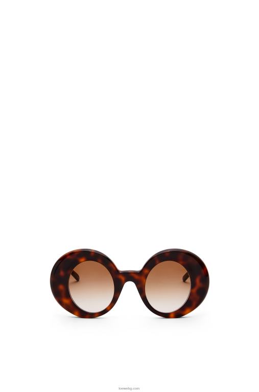 Loewe големи кръгли слънчеви очила от ацетат F84B81492 Жени Хавана